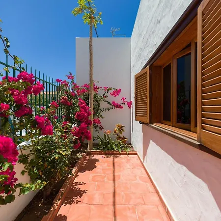 Pupe By Canariasgetaway Alpehytte Agaete (Gran Canaria)