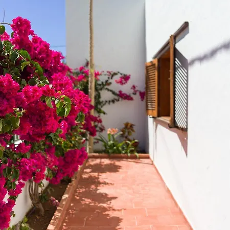 Alpehytte Pupe By Canariasgetaway Agaete (Gran Canaria)
